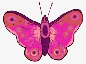Butterfly - Clip Art