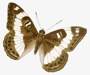 Clip Art At Clker Com Vector Online - Cartoon Butterfly Brown Png