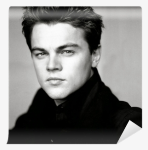 Leonardo Dicaprio Erica Linder