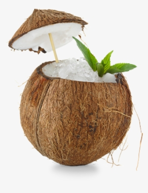 Coconut - Coconut Cocktail
