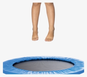 Credit Jens Mortensen For The New York Times - Jens Mortensen Photography