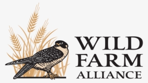 Wellesley College Library