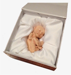 It's A Well It's Certainly A Um - 3d Printed Baby