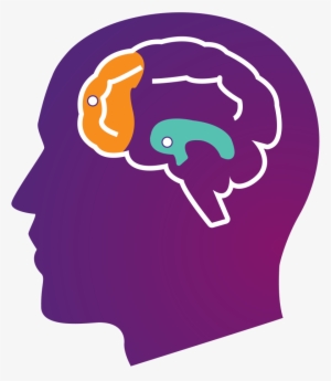 This Is Your Brain On Stress - Stressed Brain Clipart