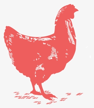 Chicken Breast - Rooster