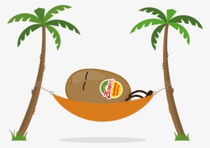 Vector Graphics