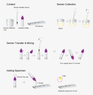 Wait For 5-10 Minutes And Read The Result - Diagram