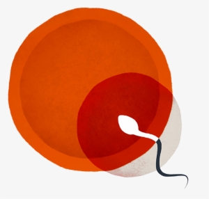 Episona Adds D2c Model For Consumer Male Epigenetic