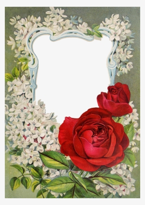 Antique Seed Catalog Reinvented 1903 Storrs & Harrison - Transparent Garden Picture Frames