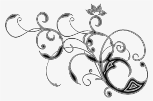 Tienen Buen Tamaño, Haz Clis Sobre La Imagen Para Ver