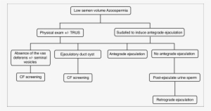 Algorithm For The Investigation Of Low Volume Azoospermia - Portal Vein Thrombosis