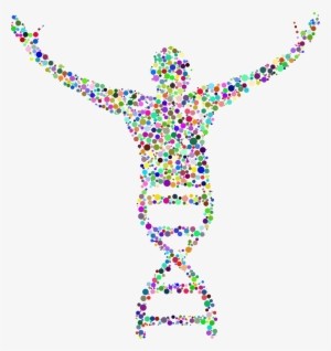 Sperm Dna Fragmentation Test - Biology Dna