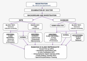 Flow Chart Of Treatment In Reproductive Clinic - Diagram