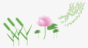 Setaria Vector Graphics,free Pictures, - Lotus Cartoon Png
