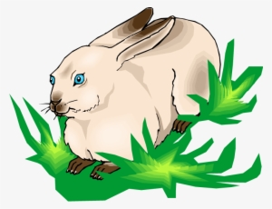 Cottontail Bunny Clipart - Clip Art