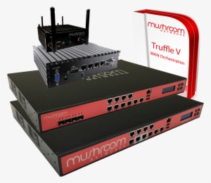 Mushroom Fits Your Size One Office Or Thousands Of - Truffle Mushroom Load Balancing