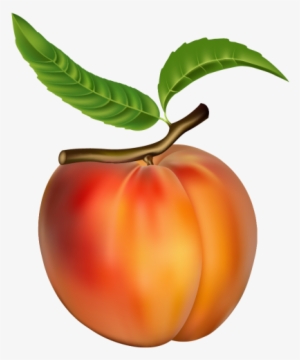 Png Frutas Pinterest Clip - Peach Clip Art