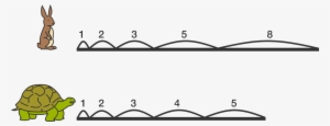 Once Upon A Time, A Rabbit And A Turtle Were Competing - Pattern Fibonacci Number Fibonacci Sequence