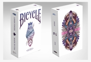 Bicycle Owl Aves Front And Back