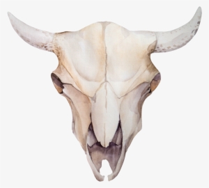 Bone Horns Transparent Decorative - Cow And Flowers