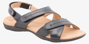 Download - Sandal Png