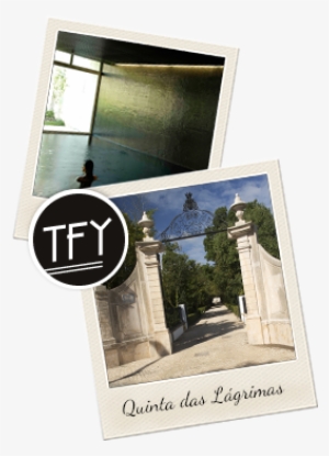 Quinta Das Lágrimas Hotel ***** - Poster