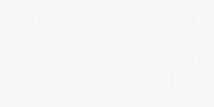 Spiderwebs - Paper Product