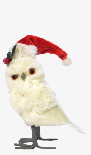 Búho De Pie Blanco Gorro De Navidad - Christmas Day
