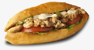 Hot Chicken Sub - Hot Chicken Sub James Coney Island