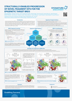 Download Poster - Novel