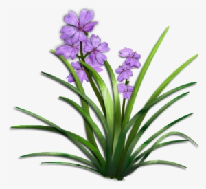 Browse Popular All Time - Plant With Flower Png