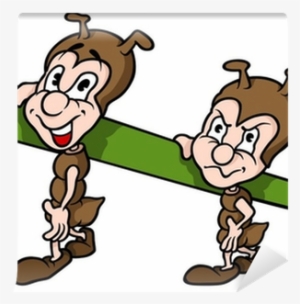 Ant