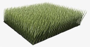 Grama - 2 Synthetic Grass Lawn Dark