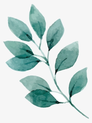 Flowerwd 13 - Watercolor Floral Elements