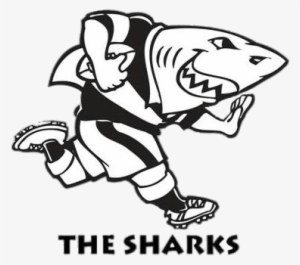 Sharks Rugby Logo - Sharks South Africa Rugby