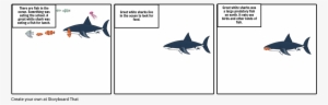 Great White Sharks - Great White Shark