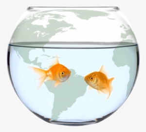 Fish Bowl Travel Logo - Full Fishbowl