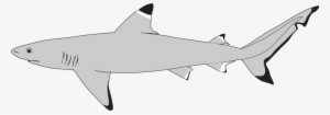 Shark Icon - Icon