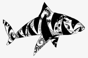 Tiger Shark One Ocean - Tiger Shark