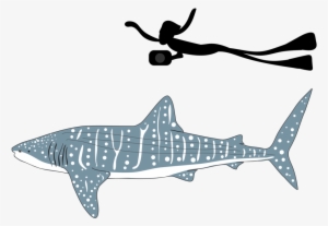 Be Part Of The Solution - Shark