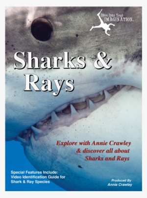 Sharks & Rays Dvd - Film
