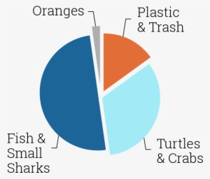 Updated Graph - Portable Network Graphics