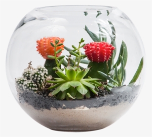 Terrarium Fish Bowl - Wood Carving