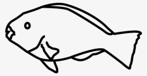 Tropical-fish - Coral Reef Fish