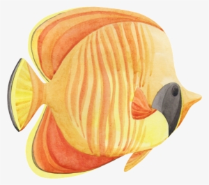 Hand Painted A Tropical Fish Png Transparent - Portable Network Graphics