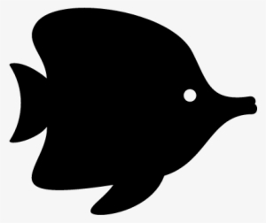 Tropical Fish Vector - Fish Icon Silhouette Png