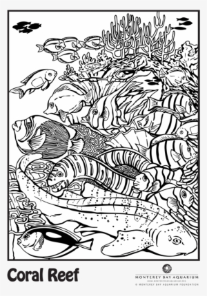 With Coloring Pages Of Coral Reefs As Reference, So - Monterey Bay Aquarium Fundation Coloring Pages