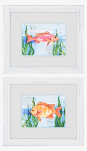 Ocean Reef Pk/2 - Distressing