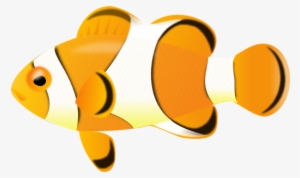 Tropical Fish Clipart 3d Fish - Clown Fish With No Background