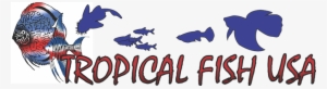 Tropical Fish Usa - Discus